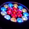 Ultra WASH 9000 (LED Wash-Beam19x15W-Osram Zoom)